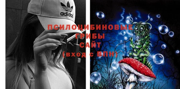 а пвп мука Армянск
