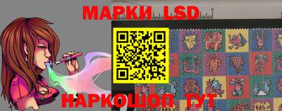 a pvp Владимир