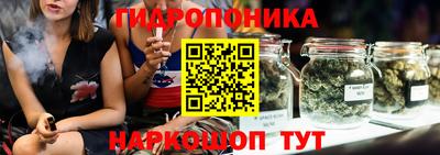a pvp Владимир
