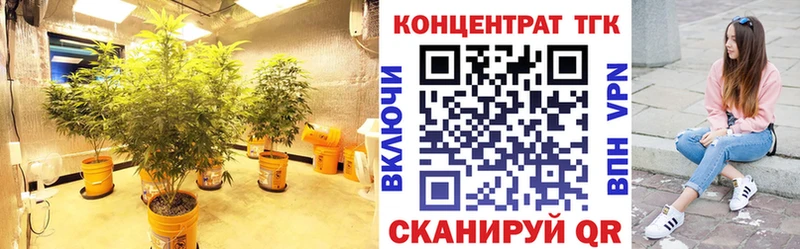 купить  сайты  Верхняя Салда  ТГК жижа 