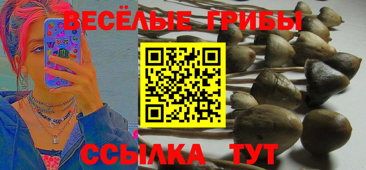 Верхняя Салда  Галлюциногенные грибы прущие грибы  Вход с VPN 